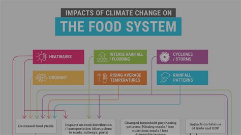 Infographic Impacts Of Climate Change On Food System Climate Council