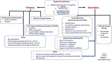 Case 41: Diagnosis & Conclusions