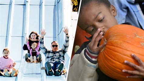 Fall Festivals: Where to find corn mazes, pumpkin patches and more in ...