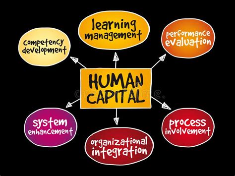 Detail Contoh Human Capital Koleksi Nomer 17