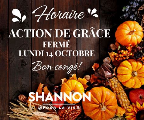 Visuel Horaire Action De Gr Ce Shannon