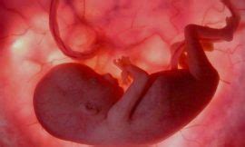Feto com 4 meses: Tamanho, Peso e Fotos