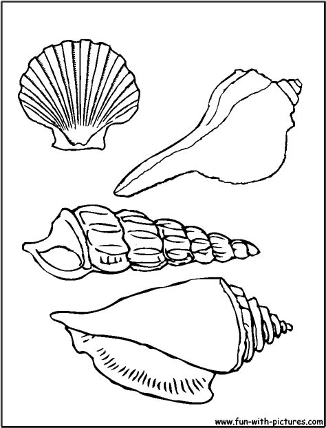 Snail Shell Coloring Page