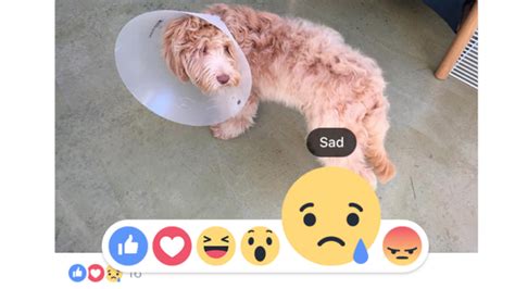 Facebook lança novas reações aos posts como amo e triste