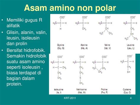 Asam Amino Alanin Ujian