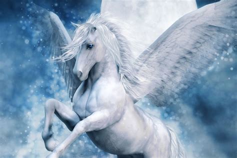 White Pegasus Horse