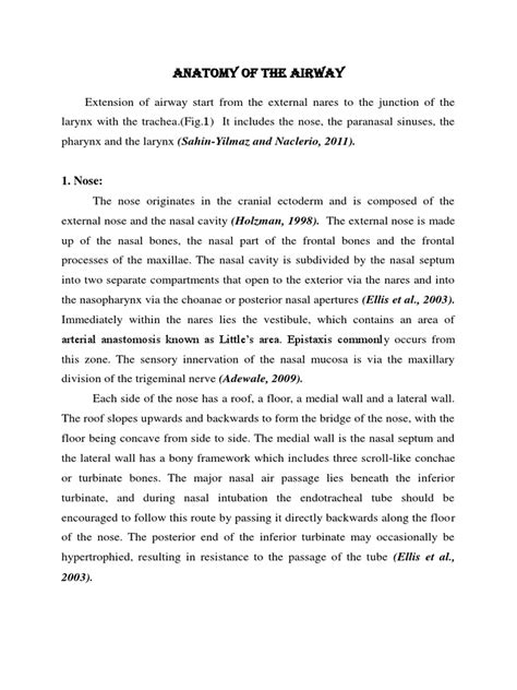 anatomy  airway  larynx human head  neck