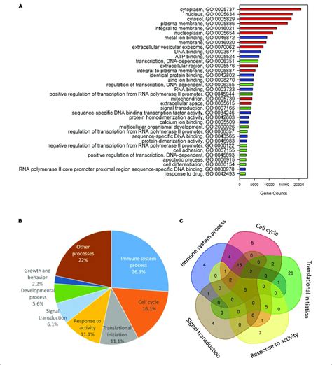 Chimeric Genes Functional Annotation And Gene Ontology Enrichment