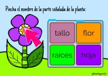 Las Plantas Plants Boom Cards In Spanish By Yadirasantiago Prof Pr