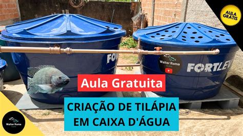 AULA GRATUITA CURSO CRIAÇÃO DE PEIXES EM CAIXA D ÁGUA YouTube