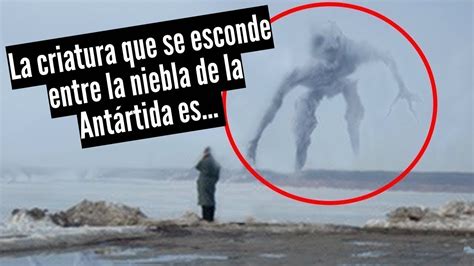 Criaturas gigantes MISTERIOSAS captadas en CÁMARA YouTube