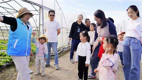 看过来，在这里有一场从田头到餐桌的见面会澎湃号·政务澎湃新闻 The Paper