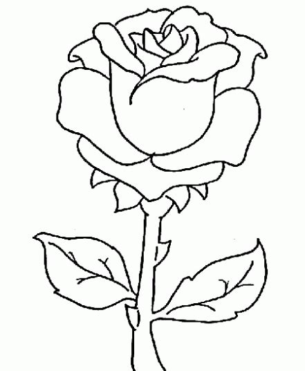 Imagenes Para Dibujar Una Rosa Imagui