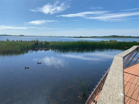 Abberton Reservoir Nature Discovery Park - Where To Go With Kids