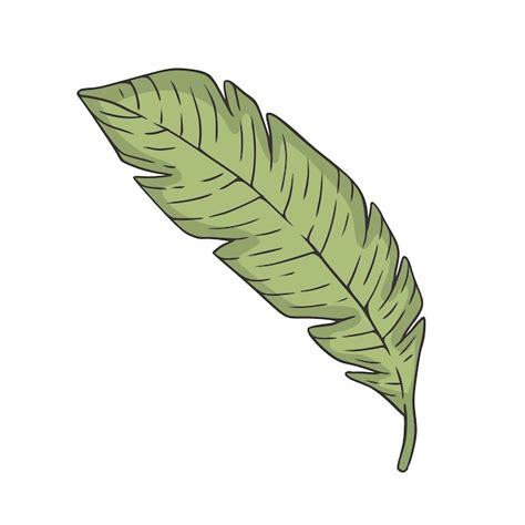 Premium Vector Tropical Leaf Doodle Vector Illustration