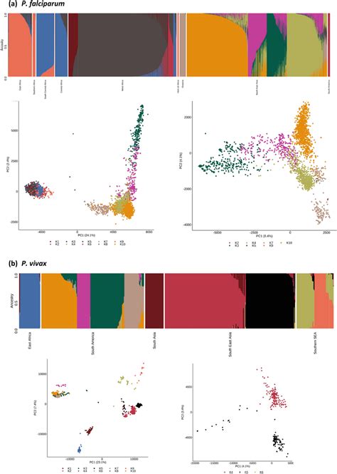 Admixture Analysis Involving Inferred Ancestral Populations Denoted