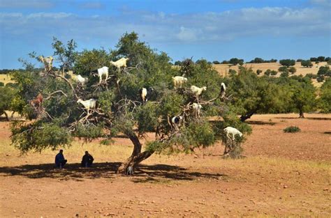 Alternative Morocco Go Off The Beaten Path This Year