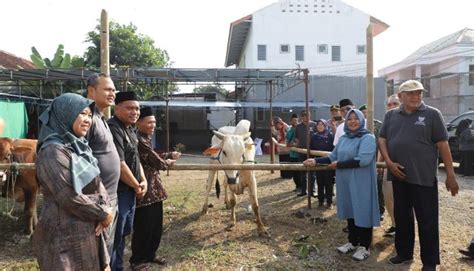 Bupati Sleman Serahkan Bantuan Hewan Kurban Baznas BERNAS Id