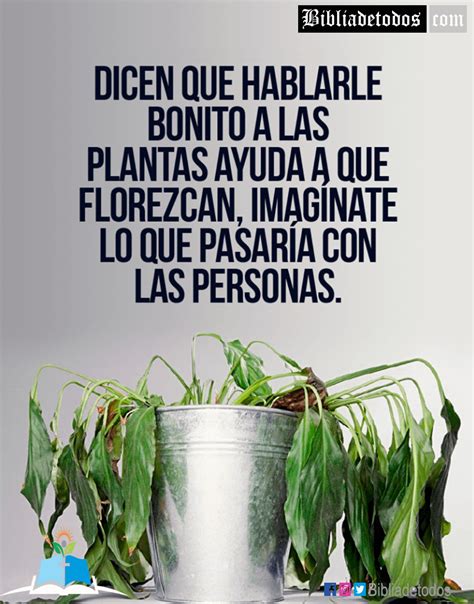 Frase Sobre Las Plantas Revoeduca