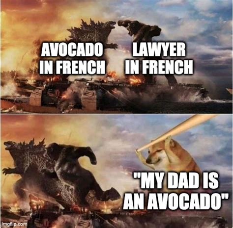 Avocat Imgflip