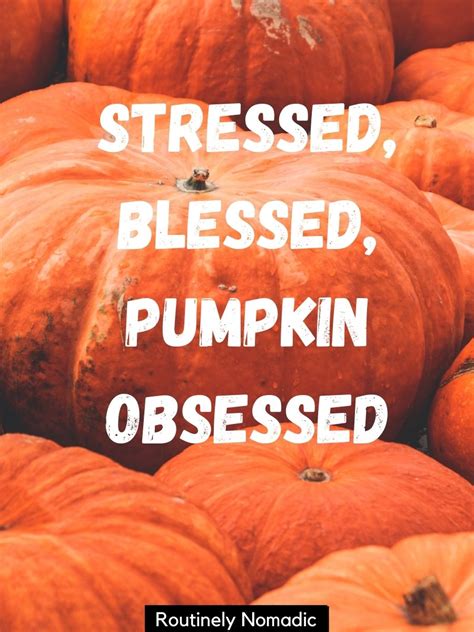 100 Best Hello October Captions For Instagram Routinely Shares