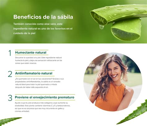 Beneficios Y Cuidados Del Aloe Vera Para Una Piel Saludable Plantas Y M S