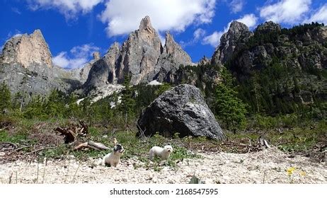 13,404 Dolomites Unesco World Heritage Images, Stock Photos & Vectors ...