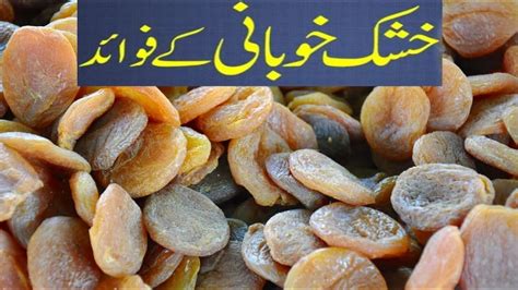 Khushk Khubani Ke Fayde Benefits Of Dried Apricots In Urdu Hindi