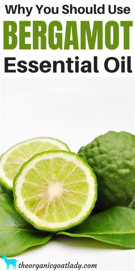 Why You Should Use Bergamot Essential Oil The Organic Goat Lady