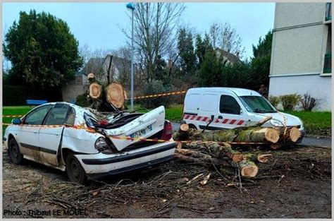 Chute d un peuplier au Clos du Roy à Vierzon selon la ville la