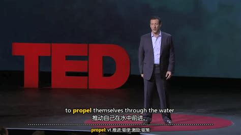 Ted演讲集 Ted视频打包下载（mp4中英字幕演讲稿） Ted中英文对照字幕视频 Ted演讲稿 1984 2021全集 知乎