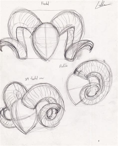 how to draw ram horns - Google Search | Sketches, Sketch book, Art reference