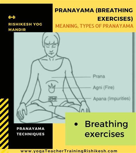 Pranayama Breathing Exercises Meaning Types Of Pranayama