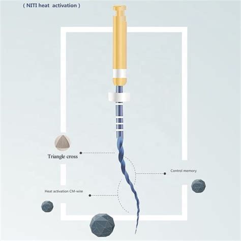 Protaper Blue Files Endodontics 12 90 December 2024 Dental Lab Shop