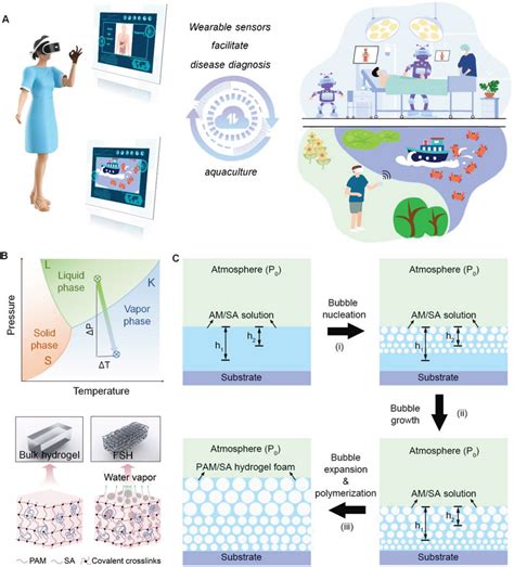 The Formation Mechanism Of Ultrasoft Hydrogel Foam And Their Practical