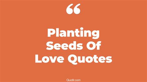 25 Eye Opening Planting Seeds Of Love Quotes That Will Inspire Your Inner Self