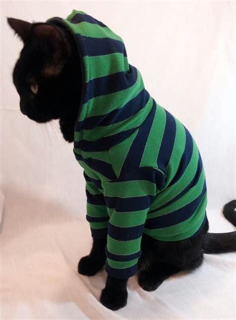 The New Fall Line Of Cat Clothes Kittens Whiskers