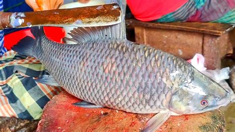 Fresh Fish Cutting Skills Amazing Black Rohu Kali Baush Fish