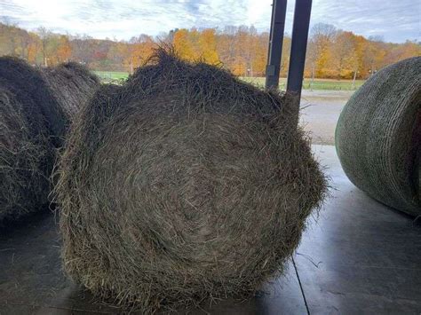 Round Bales Rd Orchard Grass Mix X Stored Inside Rogers