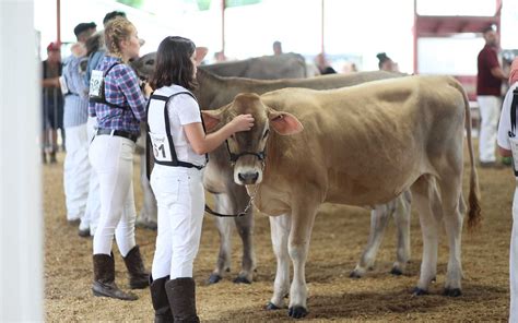 Dutchess County Fair Schedule Tickets Lynea Cairistiona