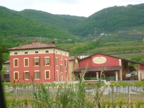 Amarone della Valpolicella D.O.C.G.: a wine rich in history