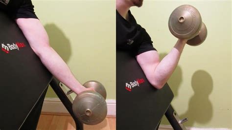 Dumbbell Preacher Curl One And Two Arm Variations