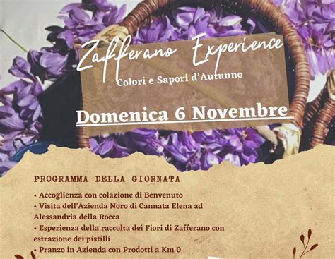 Zafferano Experience Colori E Sapori Dautunno Ad Alessandria Della