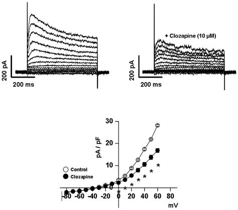 Inhibitory Effect Of Clozapine On Voltage Dependent K Kv Currents