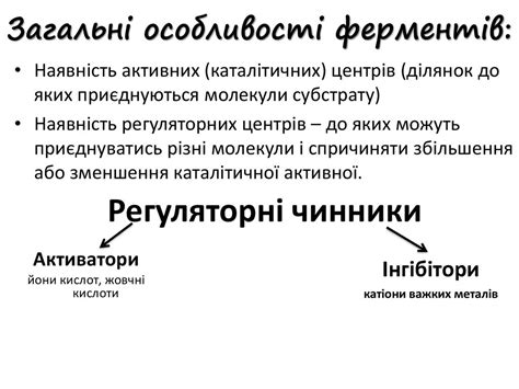 Роль ферментів і вітамінів у забезпеченні процесів метаболізму ...