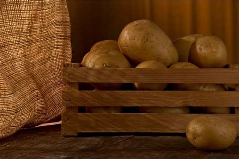 How To Store Potatoes So They Don T Sprout Storables