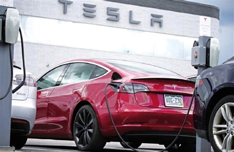 Tesla Profits Fall On Vehicle Price Cuts Latest News