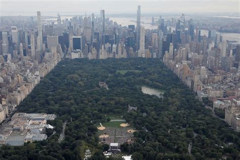 ¿cuál Es La Temperatura Promedio En Nueva York Infobae