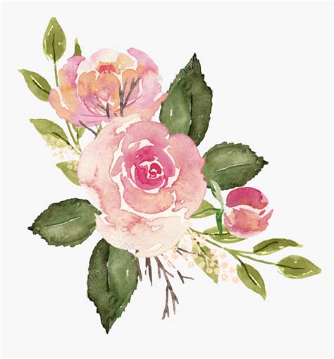 Watercolor Roses Png Watercolor Pink Flower Transparent Background