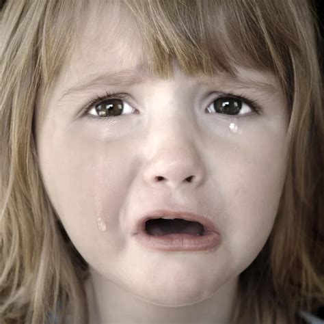 Niña sobre un fondo blanco fotografía de stock Zveiger 184852410